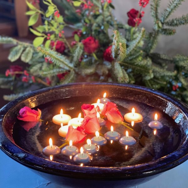 IMG_9231 IMG_9231